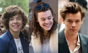 Harry Styles different hairstyles